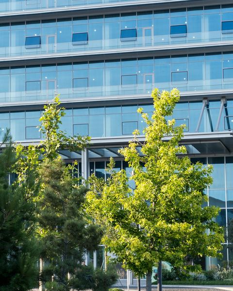A modern glass office building behind green trees